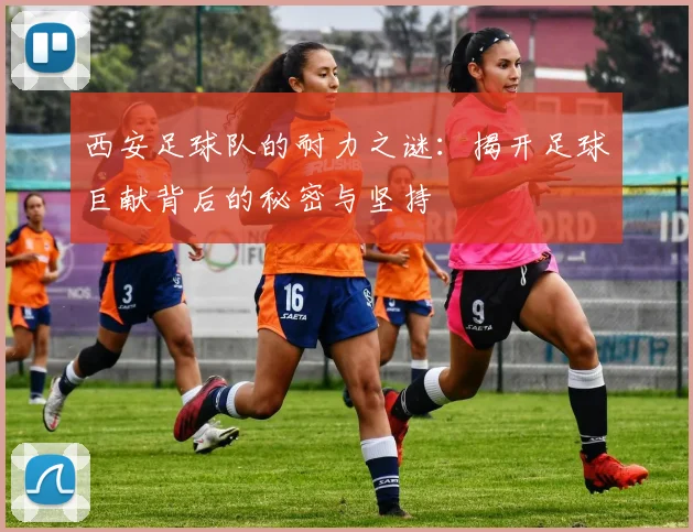 西安足球队的耐力之谜：揭开足球巨献背后的秘密与坚持
